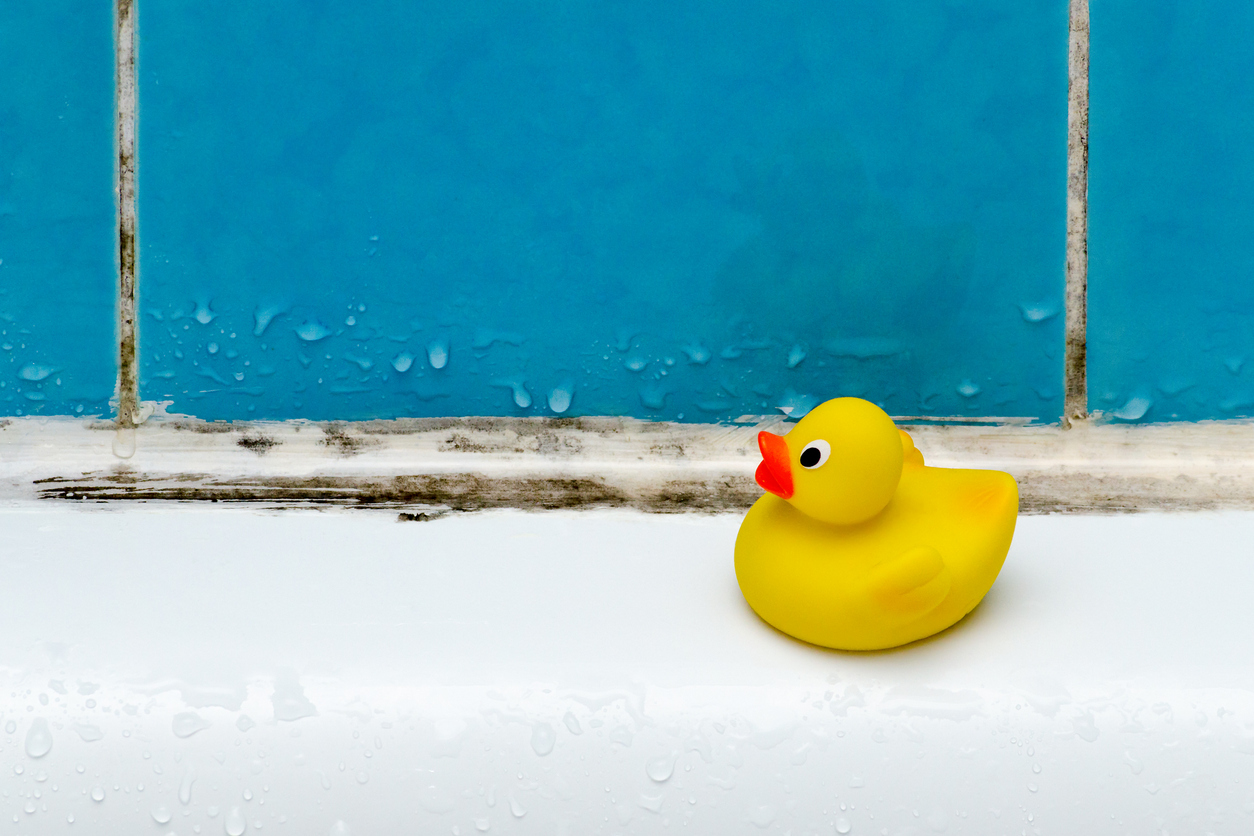 duck toy