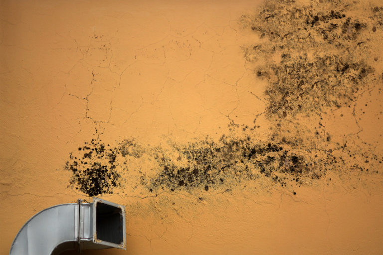Signs You Need a Dehumidifier