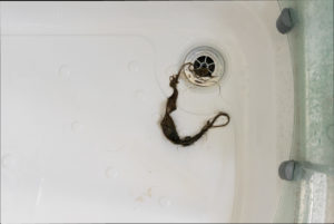 Long clump of hair removed from drain of modern white shower